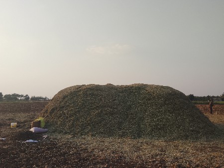માડવિ નો પાલો વેશવા નો છે  જી20