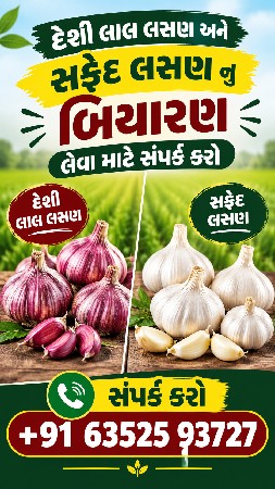 દેશી લસણ અને સફેદ લસણ બિયારણ
