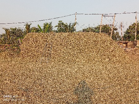 જી 20 નો સારો  વેચવાનો છે