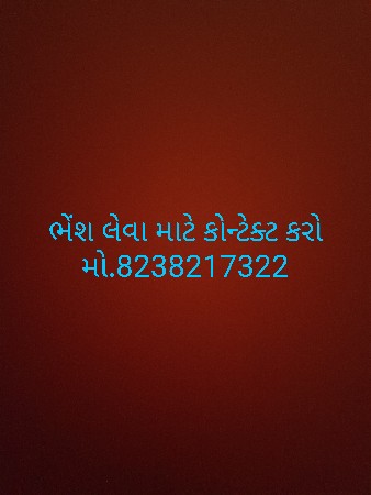 ભેંશ લે વેચ