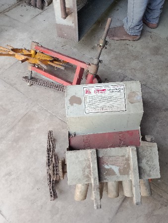ઓરની બળદ ની