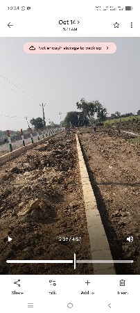 નારિયેળી. નો..બગીચો