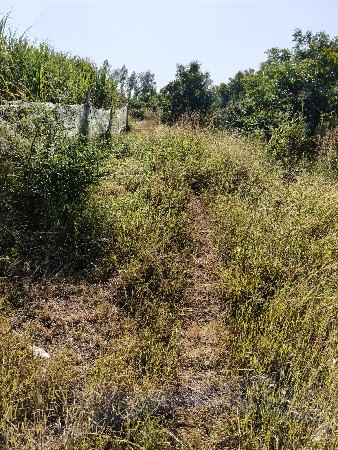 જમીન.ભાડે આપવાની. વિઘા.9.પાણી