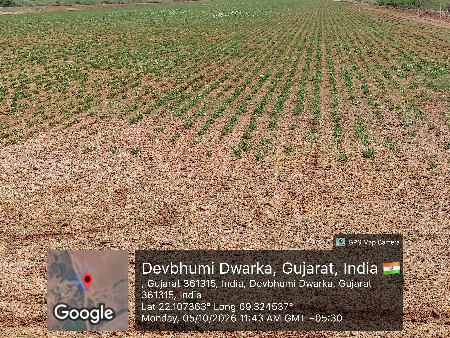 ખેતીલાયક જમીન વેચવાની છે