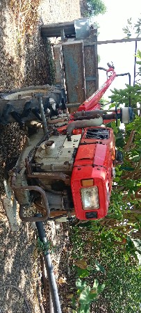 શિંગડા વારૂ વેચવાનું છે
