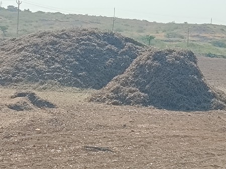 bhuko