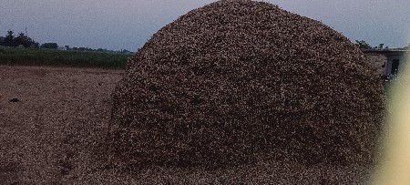માડવયુ સારો