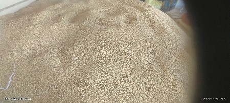 ફૂલે સંગમ બીજ અને સોયાબીનનોચારો