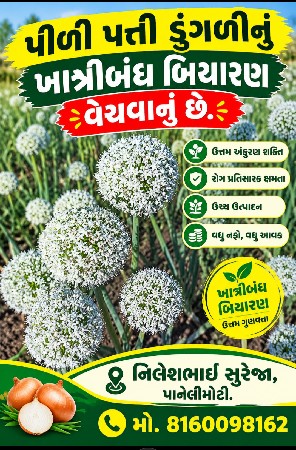 ડુંગળી બિયારણ