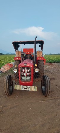standar 1035
