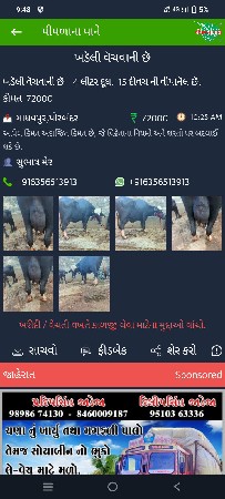 ભૅસદૅવાનીછૅ