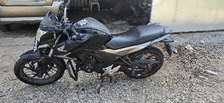 Hornet 2016