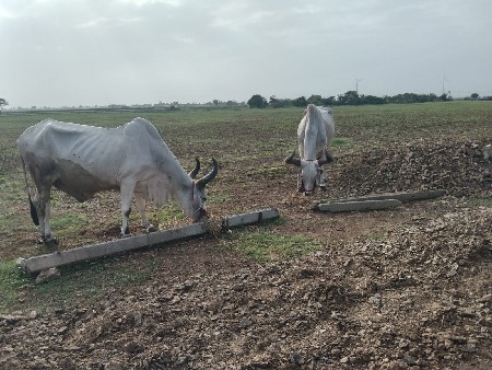 વેચવાના