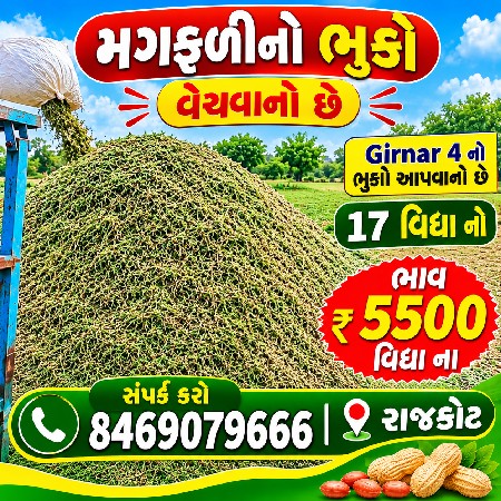Magfali  Bhuko vechva no chhe