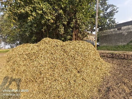 મગફળી નો પાલો વેચવાનો છે