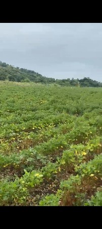 ખાંભા તાલુકો અમરેલી જીલ્લો