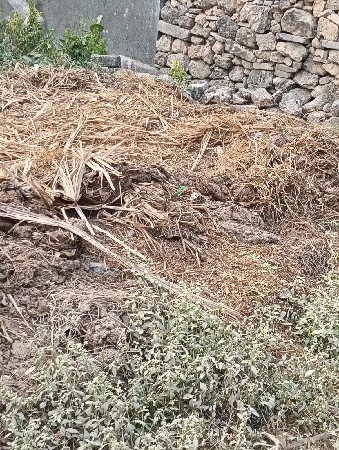 છાણિયું ખાતર વેચવાની છે