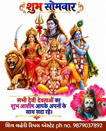 *જમીન લે વેચ