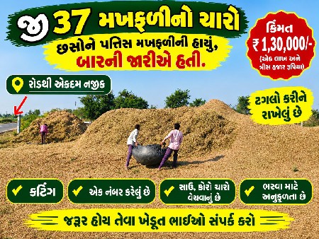 મગફળી નો ચારો વેચવાનો છે