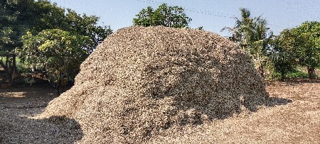 માંડવી નો પાલો છે 15 વીઘા નો.