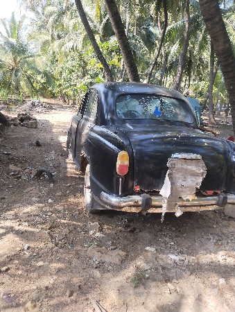 એમનીસિદ્ર