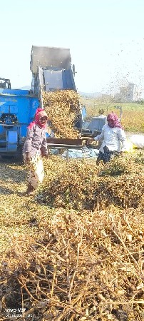 થરેસર  વહેંચવા નુ છે  કોડવાવ