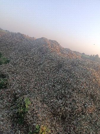 ભુકો