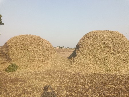 જી ૨૦ નો પાલો વેચવાનું છે.