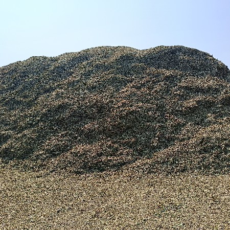 પાલો ભૂકો