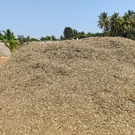 મગફળી નો ભુકો