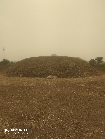 માંડવી ભુકો વેસવાનો છે