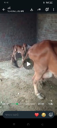 વેચવાની છે
