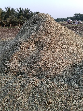 માંડવી નો ભુકો