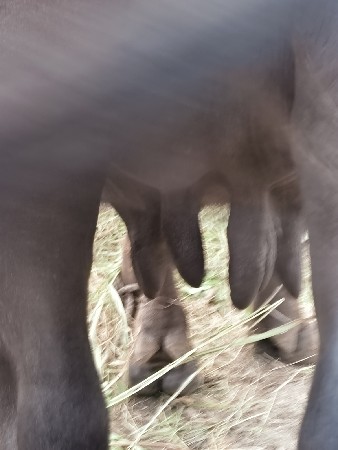 મો -9898348032