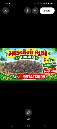 માંડવી નો ભૂકો વેચવાનો છે