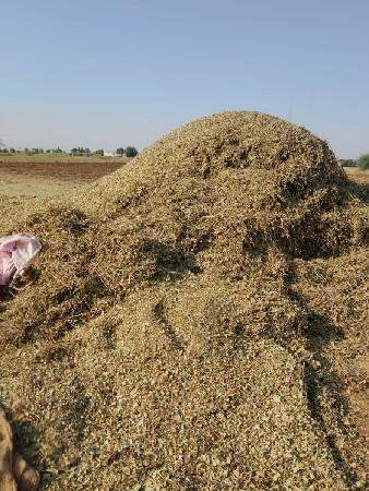 ભૂકો વેચવાનો છે નંબર 7990503931