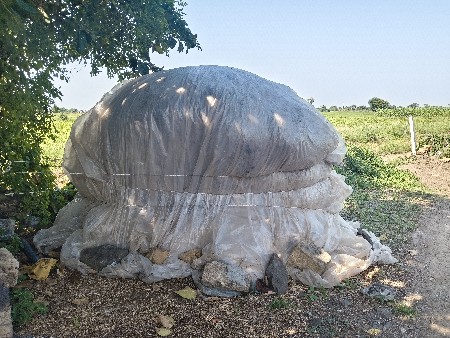 માંડવીયુ વેચવા નું છે