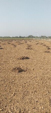 8 વીઘા ના માંડવી ના ડાયરા પાથરે