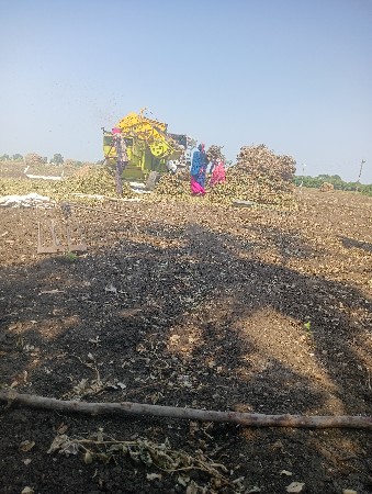 N V T જબો વૅશવાનોછે