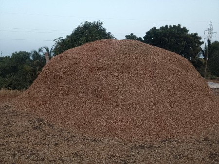 ભૂકો (પાલો) વેચવાનો છે