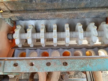 ઓરણી વેચવાની છે સારી કન્ડિશનમાં છે