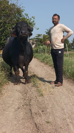 વેચવાની છે