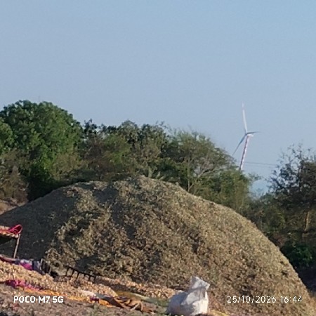 ભુકો વેસવાનો છે