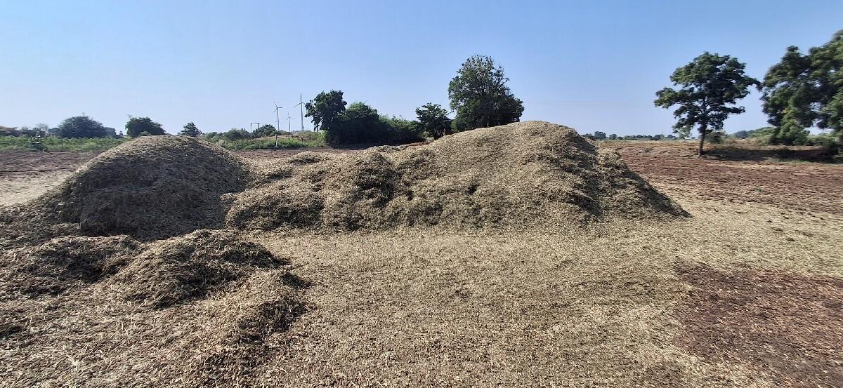 મગફળી નો ભૂકો