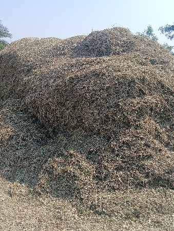 ભૂકો સે