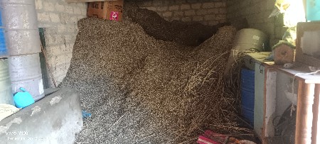 G20 માંડવી નો ભૂકો વેચવાનો છે
