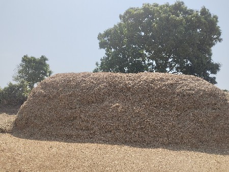 ભૂકો