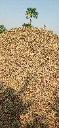 મગફળી નો ભુકો (પાલો)