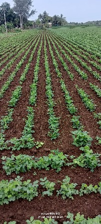 ગિર ખુટ દેવાનો સે