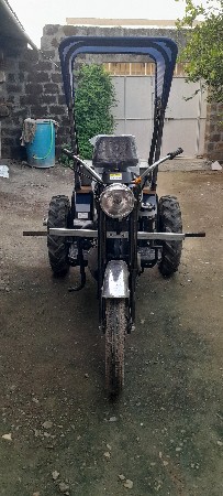 ડી કે ચેમ્પિયન સનેડો
